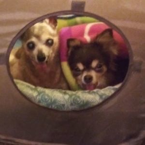 Meet your Posher, Cindy